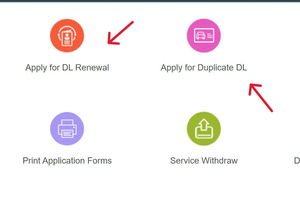 DL-Renewal-Option